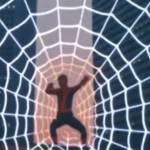 Tavora Profile Picture